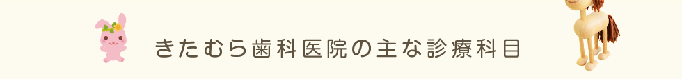 きたむら歯科医院の主な診療科目